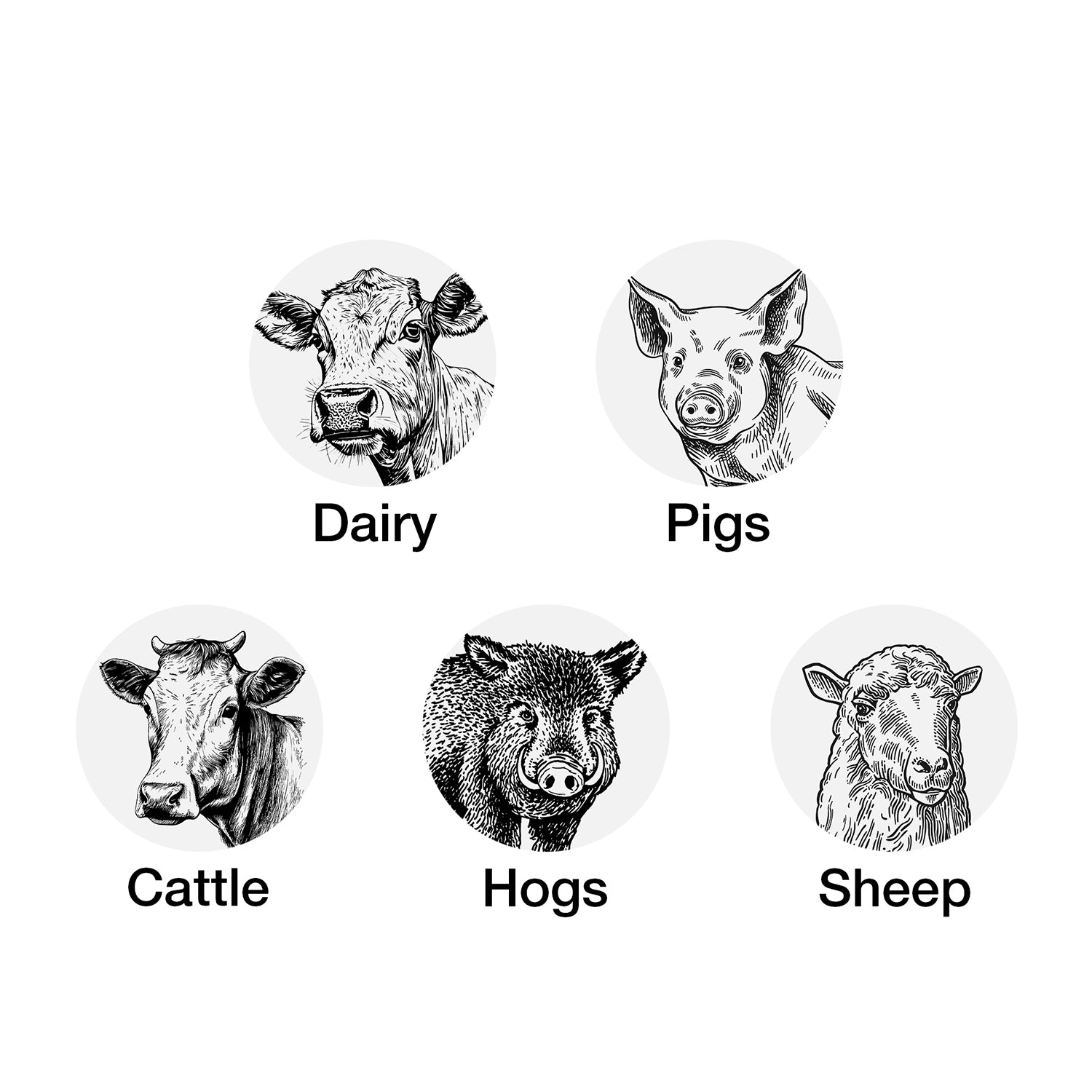 Retractable Livestock Paint Crayon