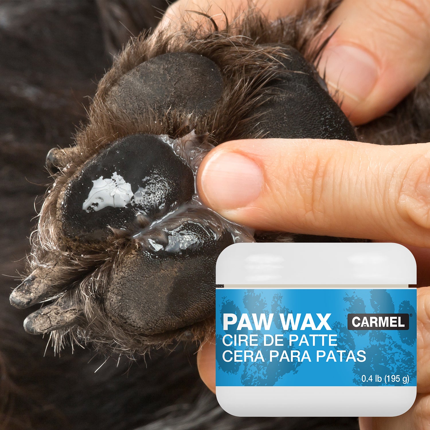 Paw Wax