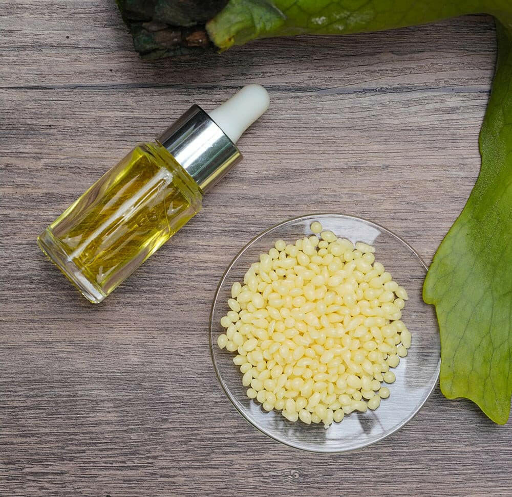 Cire de candelilla et alternative